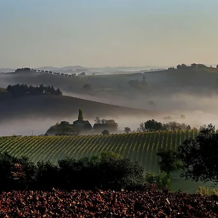 La Chioccia Serra deʼ Conti