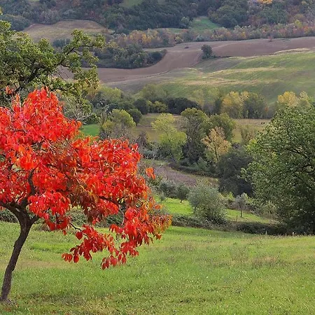 La Chioccia Serra deʼ Conti