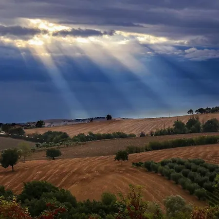 La Chioccia * Serra deʼ Conti