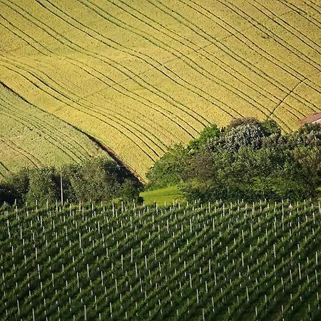 La Chioccia Serra deʼ Conti